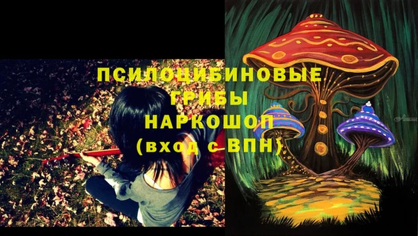 амфетамин Богородицк