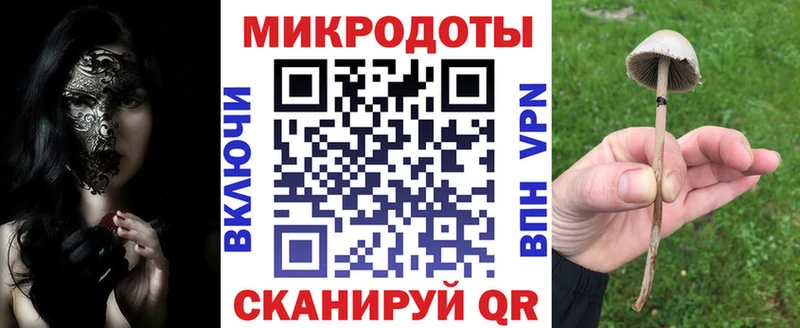 Галлюциногенные грибы GOLDEN TEACHER  сколько стоит  blacksprut зеркало  Бийск 