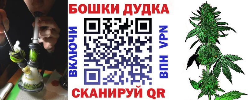 Конопля планчик как найти закладки Бийск